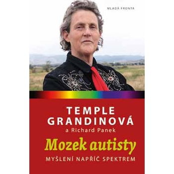 Mozek autisty