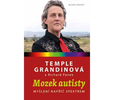 Mozek autisty