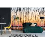 DIMEX ART Самозалепваща се флизелинова фототапета тръстика 375 x 250 см