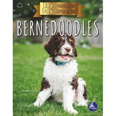 Bernedoodles