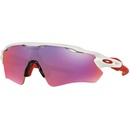 Oakley Radar EV Path OO9208-05