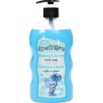 Skin Care Naturaphy Детски течен сапун с боровинка и алое вера Naturaphy 650 мл 30025 (5908311418741)