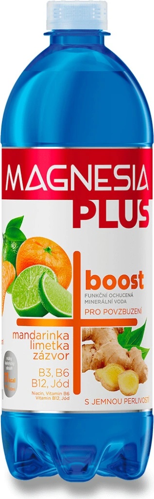 Magnesia Plus Boost 0,7 l