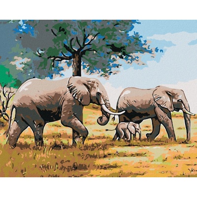 zuty Malování podle čísel Sloní rodinka 50 x 40 cm vypnuté plátno na rám