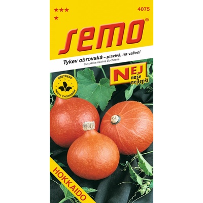 TEKVICA hokkaido Orange