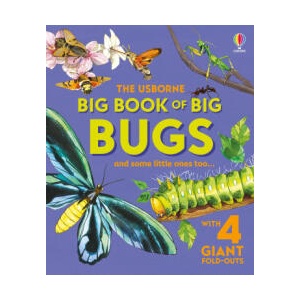 Big Book of Big Bugs | Fabiano Fiorin (ISBN: 9781836040255)