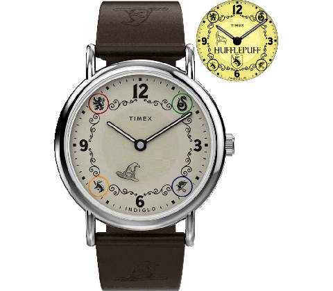Timex TW2Y76600