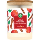 Air Wick Essentials Oils Apple Orchard & Ceylon Cinnamon 185 g