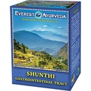 Čaje Everest Ayurveda SHUNTHI Žalúdok a črevá 100 g