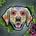 Norimpex - Puzzle Diamant painting: Labrador 30x30cm 7D - 1 - 39 piese