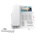 Fanvil H5 white