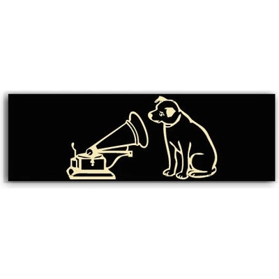Fotoobraz 150x55 cm panorama Master voice