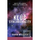 Kľúč synchronicity
