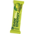 DMHERMESTRADE Bombus RAW energy 20 x 50 g