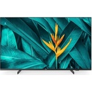 Philips 55HFL5214U