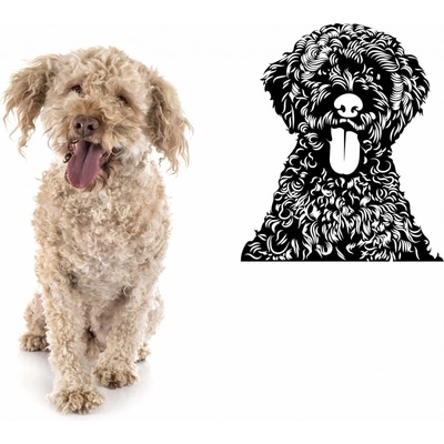 Vsepropejska Lagotto Romagnolo dřevěná dekorace na zeď Rozměr (cm): 38 x 33