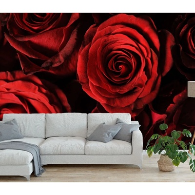 Art gift Фототапет Червени рози