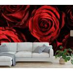 Art Gift Decor Фототапет Червени рози