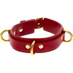Taboom D-Ring Collar Deluxe