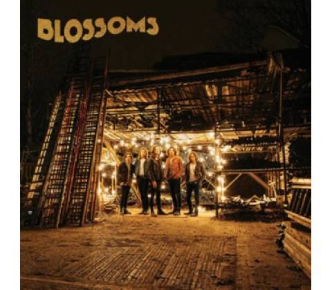 BLOSSOMS: BLOSSOMS LP