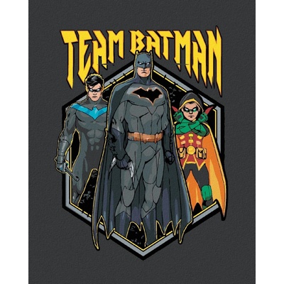 Zuty Tým batman 40 x 50 cm vypnuté plátno na rám 8596530136453