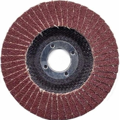 Proteco Lamelový kotouč 125 mm K40 10.20-A-125-040