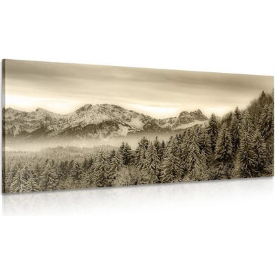 Obraz zamrzlé hory v sépiovém provedení - 120x60