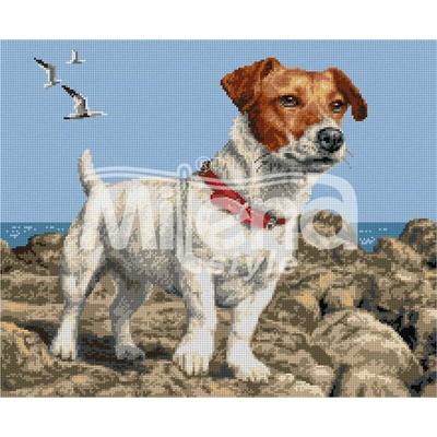Milena Style Джак Ръсел териер - гоблен със схема конци Ariadna 1: 1