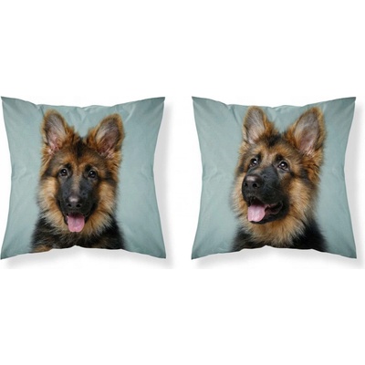 Detexpol Nemecký ovčiak 40 x 40 cm