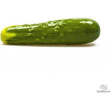 SelfDelve ZÁHRADNÁ UHORKA