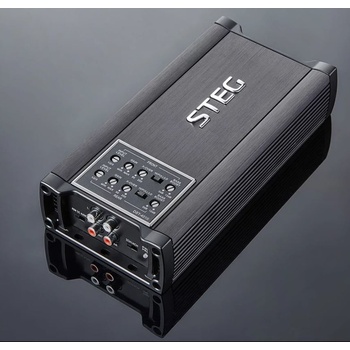 STEG DST401DII