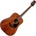 Takamine GLD11E Natural Satin Електро-акустична китара Дреднаут