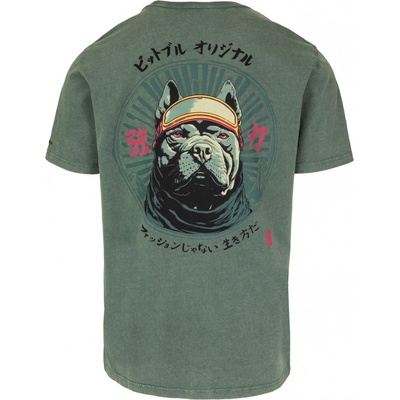 PitBull West Coast pánské triko MT FUJI washed zelené