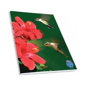 SKAG Тетрадка Wild Animals AR, спирала, 2 теми, 17 х 25 cm, 60 листа, колибри