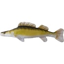 Gaby Vankúš Zubáč Obecný Dĺžka 75