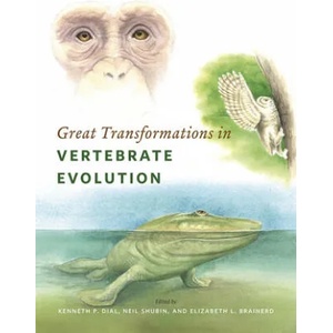 Great Transformations in Vertebrate Evolution | Kenneth P. Dial, Neil Shubin, Elizabeth Lindemann Brainerd (ISBN: 9780226268255)