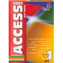 Acces 2003 pro školy