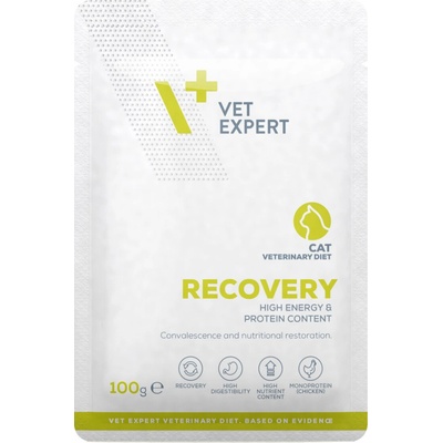 VetExpert VD cat Recovery 100 g