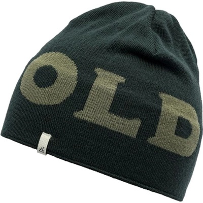 Devold Vlněná čepice Logo merino beanie woods zelená