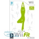 Wii Fit