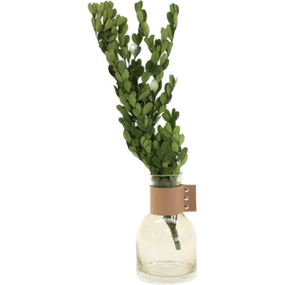 Stabilizovaný buxus – zelený