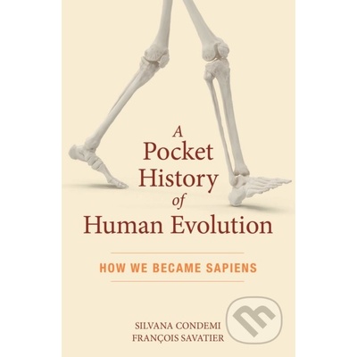 A Pocket History of Human Evolution - Silvana Condemi