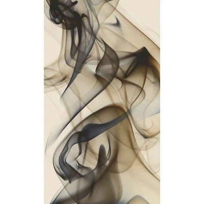 Fotozáclona AGdesign neprůhledná, abstraktní vzor 140 x 245 cm