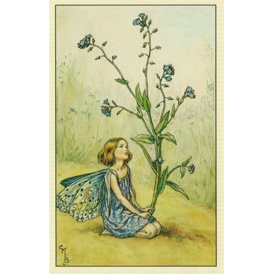 Pohlednice Květinová víla 13