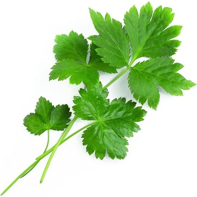 Veritable Вложка за семена Lingot Smaki Azji Мицуба японски магданоз (VLIN-S10-Per037)