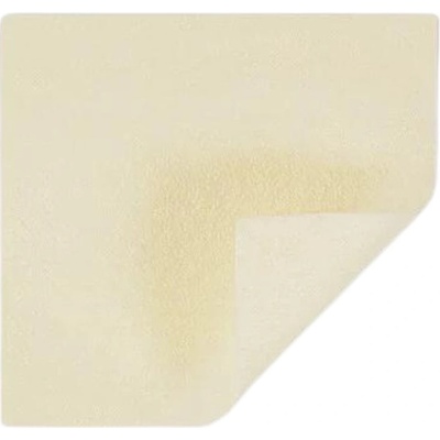 Mölnlycke Exufiber Ag+ 10 x 10 cm 10 ks