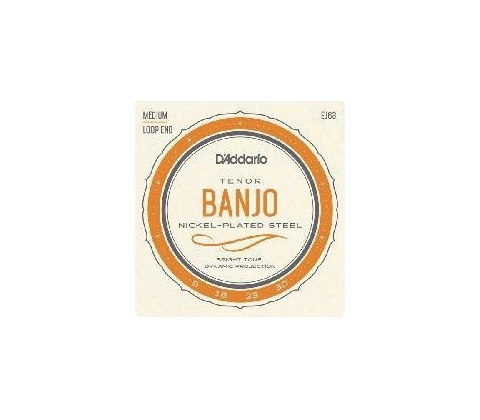 D'addario EJ63
