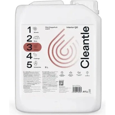 Cleantle Interior QD 5 l