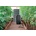 Prosperplast Combioliq 25 l