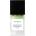 BOHOBOCO Eucalyptus Patchouli Extrait de Parfum 50 ml